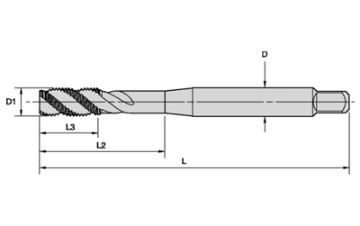 Solid Carbide Taps